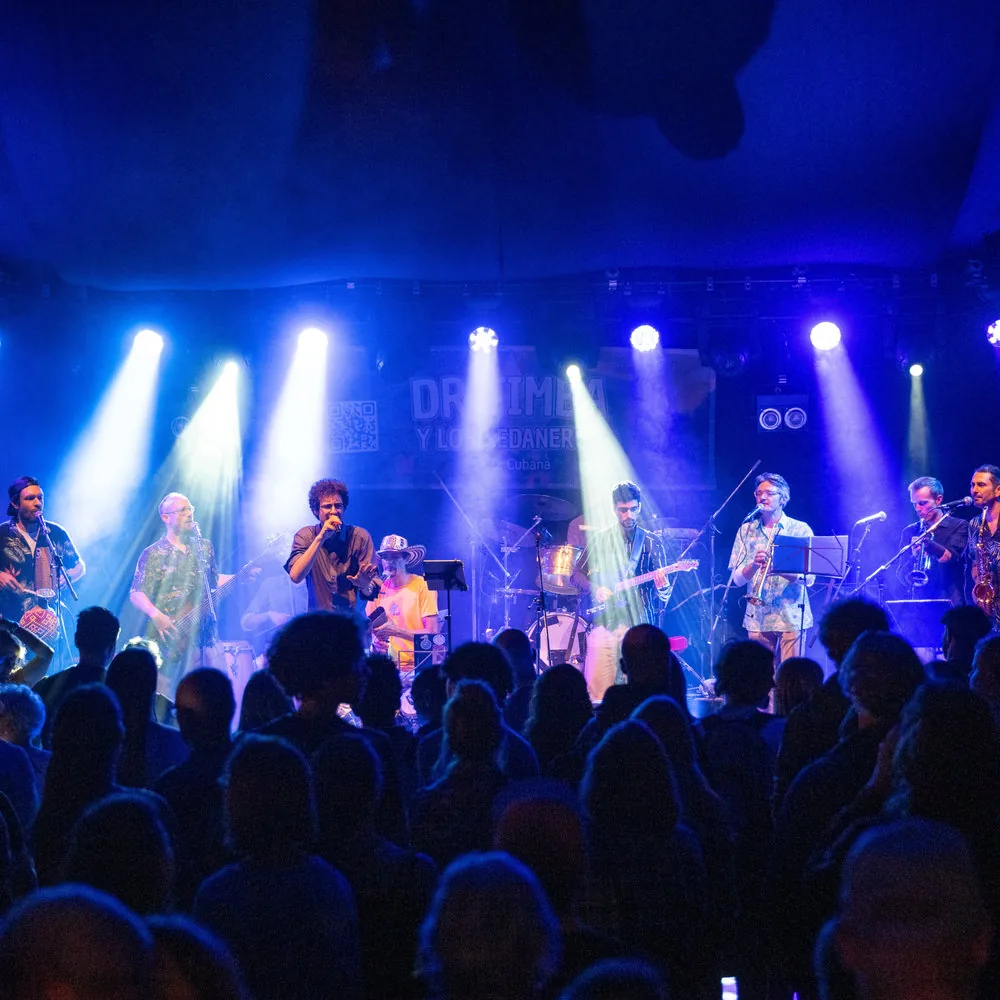 szene-Radar - Dr. Timba y los Sedaneros, Schlossberg Festival  in Freiburg im Breisgau