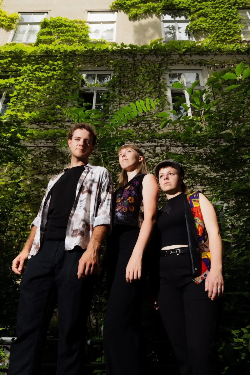 szene-Radar - honeylane: Alternative Pop, Knutstock  in Freiburg im Breisgau