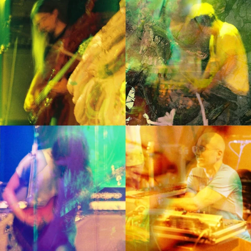 szene-Radar - Colour Haze o Live 2026, Jazzhaus  in Freiburg im Breisgau