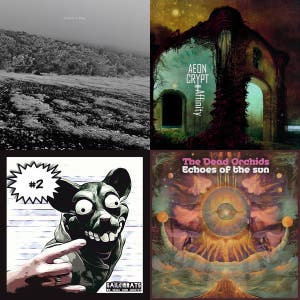 Cover der Playlist Szene-Radar: Freiburger Bands